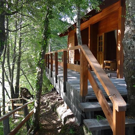 Patagonia Mawida Villa Neltume Bagian luar foto