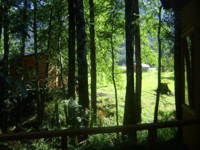 Patagonia Mawida Villa Neltume Bagian luar foto