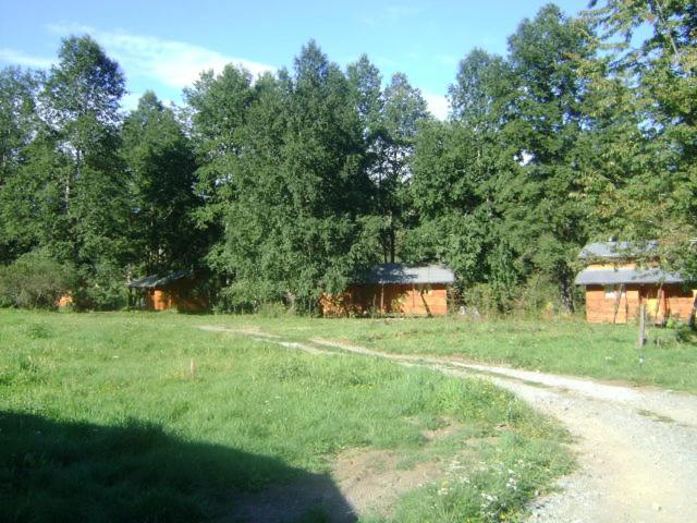 Patagonia Mawida Villa Neltume Bagian luar foto