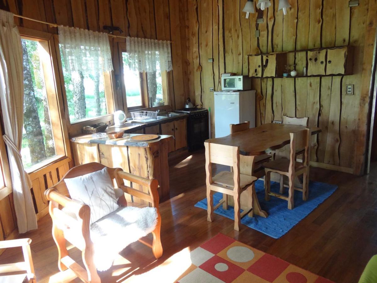 Patagonia Mawida Villa Neltume Bagian luar foto
