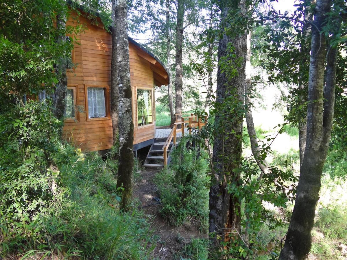Patagonia Mawida Villa Neltume Bagian luar foto