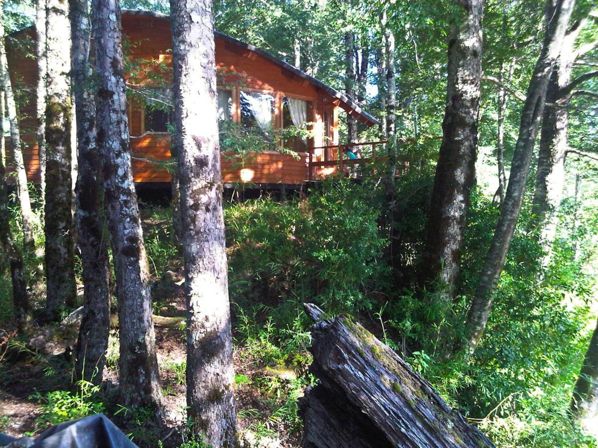 Patagonia Mawida Villa Neltume Bagian luar foto